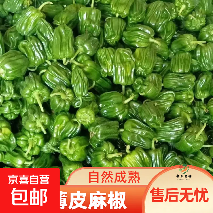 【东东买菜】新鲜麻辣椒薄皮青麻椒现摘现发皱皮椒薄皮麻椒微辣 4斤装【椒香浓郁】【图片 价格 品牌 报价】-京东