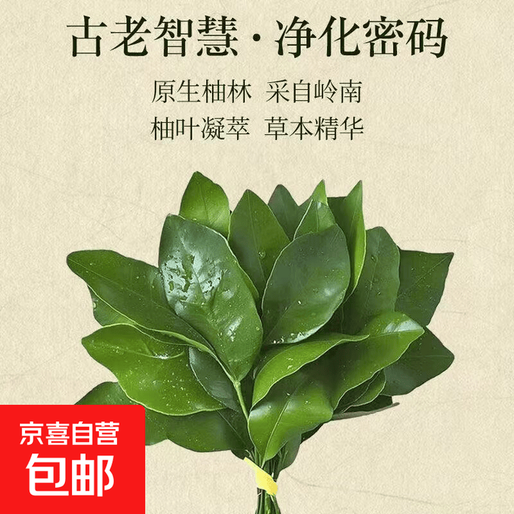 碌柚叶线香广东柚子叶好运香家用室内净化招财熏香持久留香招财香 碌柚香 6管【碌柚香】送莲花香插【图片 价格 品牌 报价】-京东