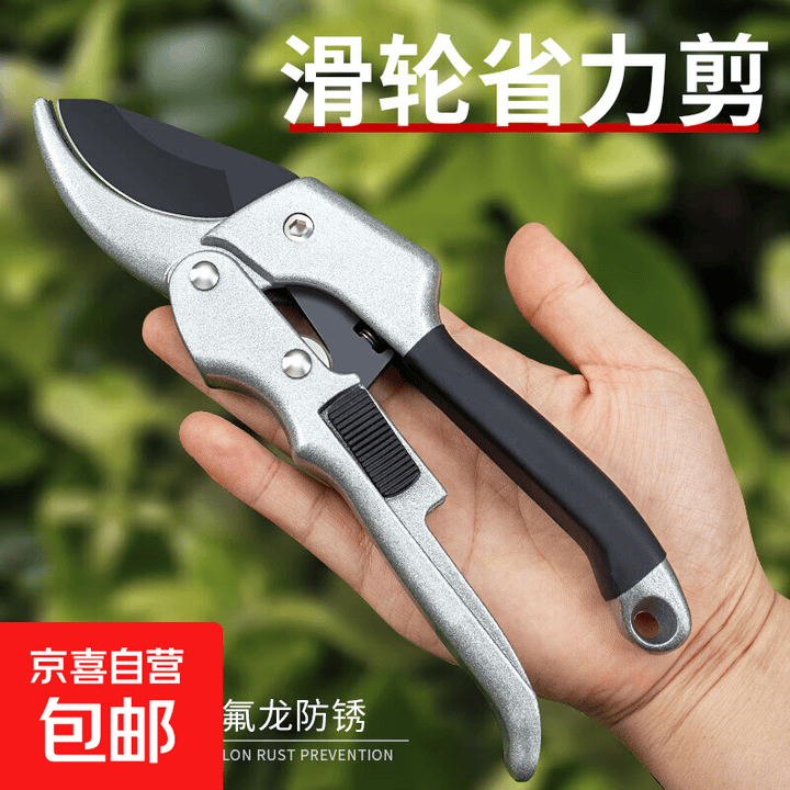 园艺剪修枝剪花剪园林剪花艺剪剪树枝果树剪刀枝剪修剪花卉剪子 园林剪弯头修枝剪【图片 价格 品牌 报价】-京东