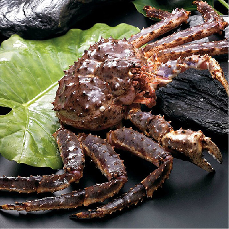 【活鲜】聚福鲜 鲜帝王蟹 海鲜年货 3500g