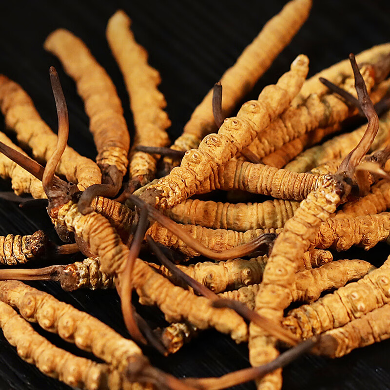 塞翁福 西藏冬虫夏草礼盒装 新干虫草精选礼盒装 虫体饱满 洁净度高 礼盒装20g