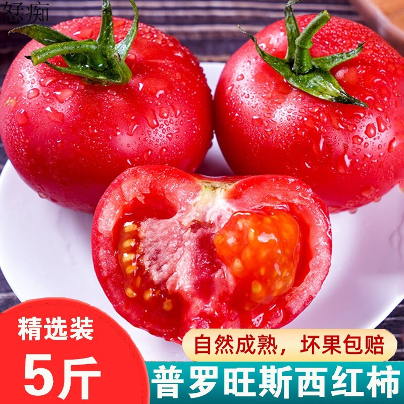FGACCT【顺丰】陕西泾阳普罗旺斯西红柿 新鲜水果 沙瓤西红柿番茄生吃蔬菜