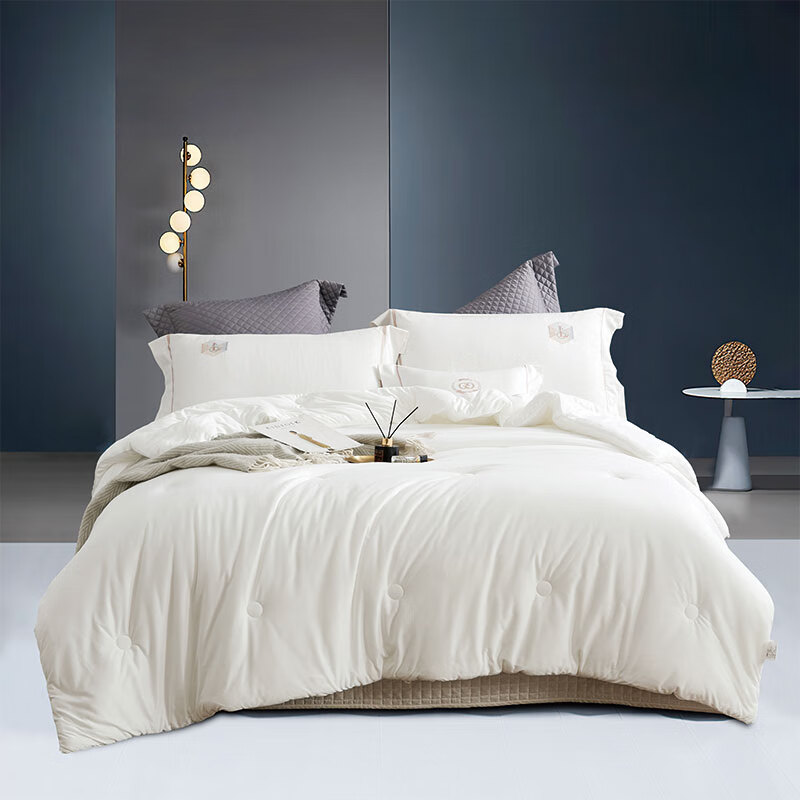 艾逸瑶选 奥里斯针织棉亲肤冬被JF-24140