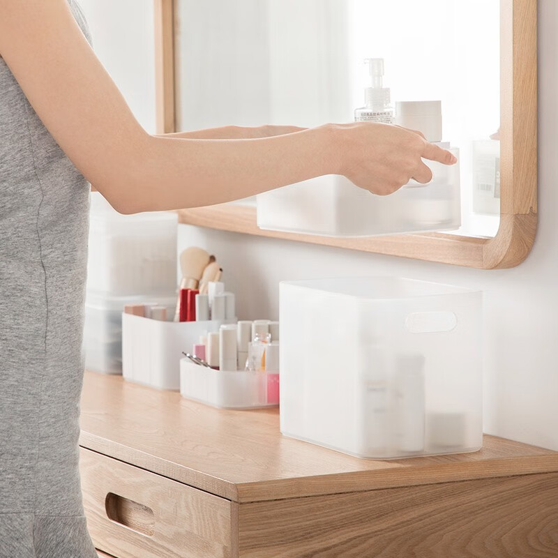 茶花（CHAHUA）茶花收纳盒桌面小盒子收纳格半透明磨砂 收纳盒150002 1个装