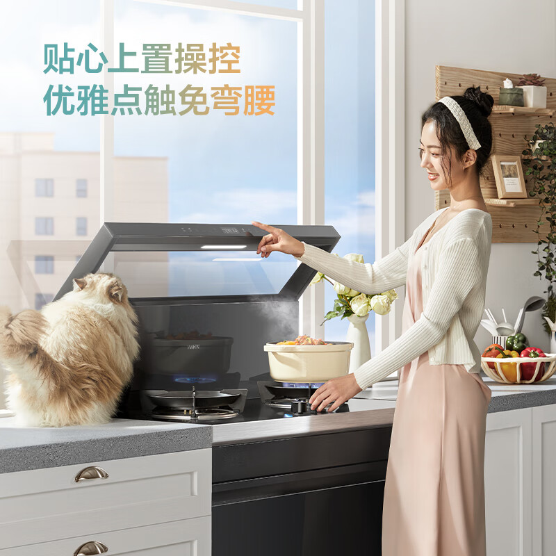 美的（Midea）出品 华凌小透明集成灶 变频21风量千帕强压 5.2KW燃气灶双灶定时 自清洁 二星消毒 WD26S 天然气