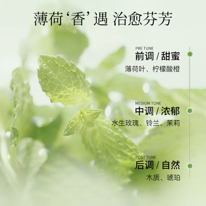 蓬派（CLAYNAL）洗发水控油止痒清爽薄荷洗头膏450ml男女通用氨基酸无硅油