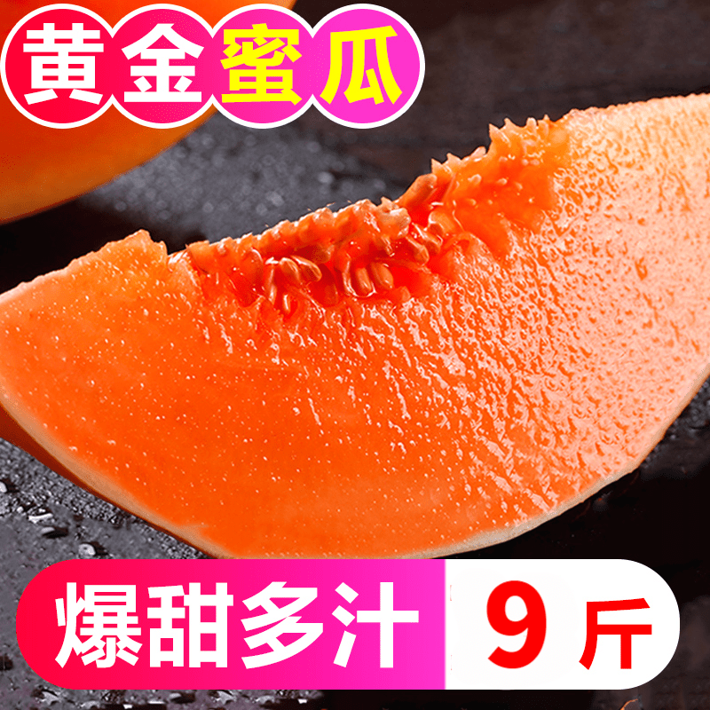 黄河蜜瓜黄金陕西陕南哈密瓜新鲜水果香瓜一箱9斤蜜甜瓜 8.5-9斤