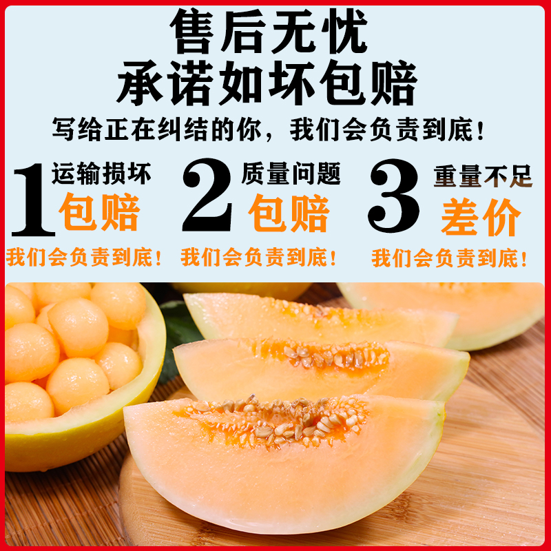 黄河蜜瓜新鲜整箱9斤当季孕妇水果现摘黄金蜜瓜甜瓜陕西甜瓜 4.7-5斤