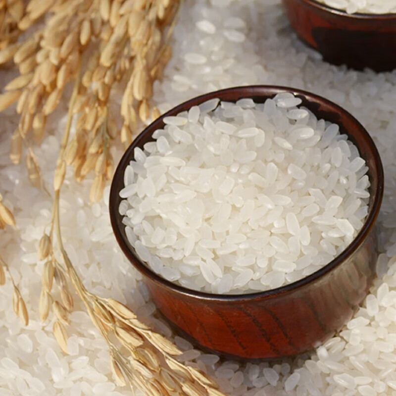 邻家饭香 五常大米 原粮稻花香2号 五优稻4号 龙凤山核心产区 五常大米500g 1袋装