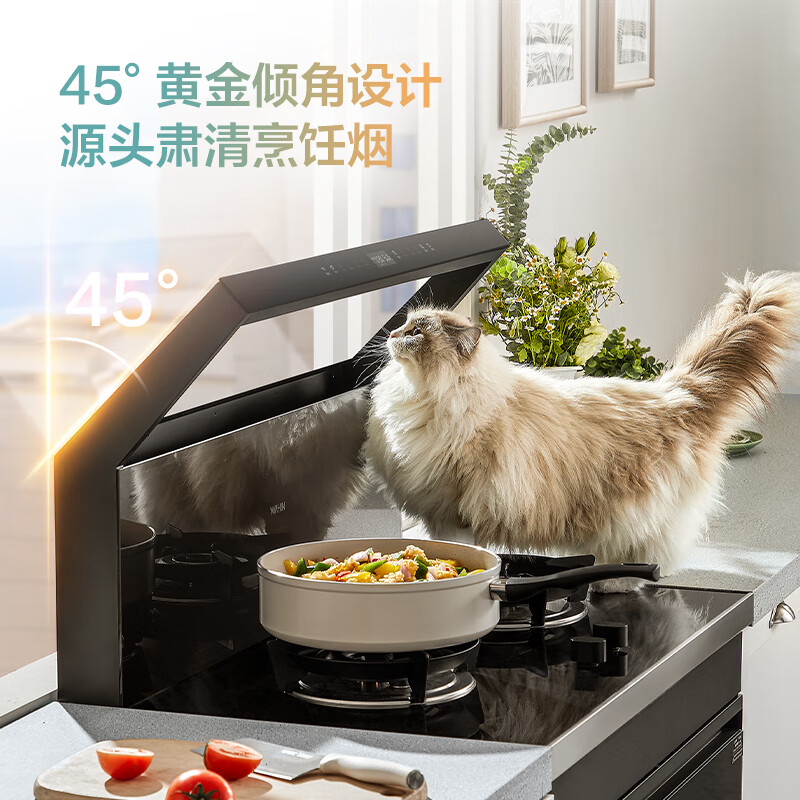 美的（Midea）出品 华凌小透明集成灶 变频21风量千帕强压 5.2KW燃气灶双灶定时 自清洁 二星消毒 WD26S 天然气