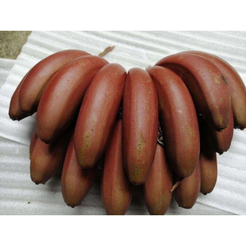 广西红蕉红美人红皮香蕉新鲜水果当季芭蕉米蕉生蕉发货