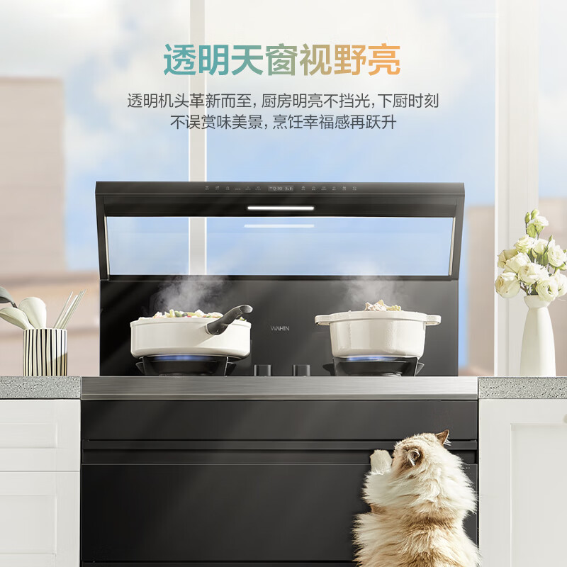 美的（Midea）出品 华凌小透明集成灶 变频21风量千帕强压 5.2KW燃气灶双灶定时 自清洁 二星消毒 WD26S 天然气