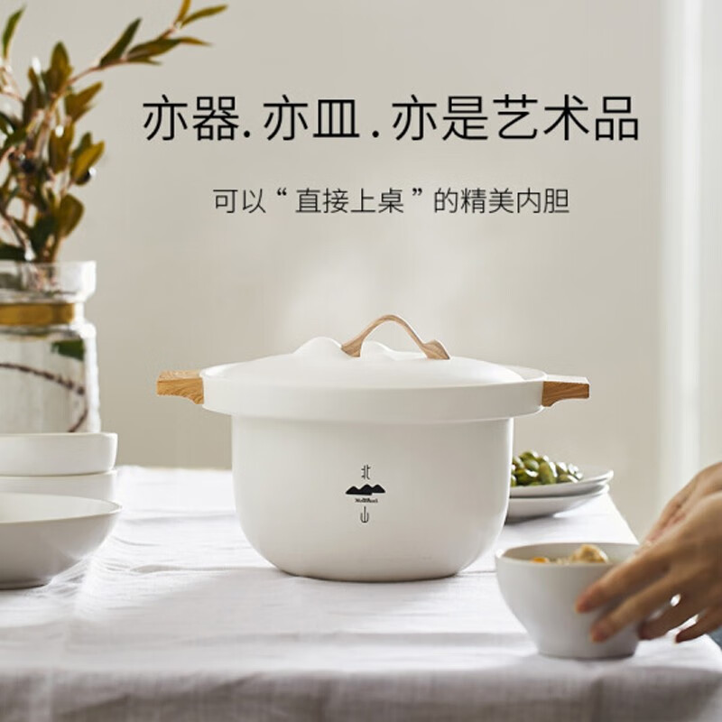 九阳（Joyoung）电炖锅4.5升 电炖盅煮粥锅养生锅煲汤锅 白瓷电锅全自动预约家用D-45Z2 北山系列