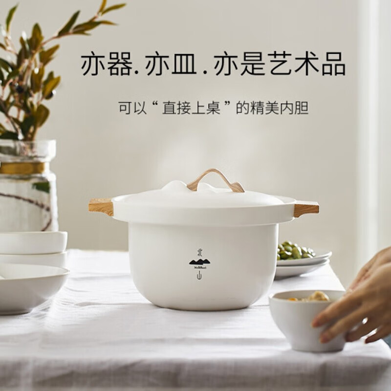 九阳（Joyoung）电炖锅4.5升 电炖盅煮粥锅养生锅煲汤锅 白瓷电锅全自动预约家用D-45Z2 北山系列