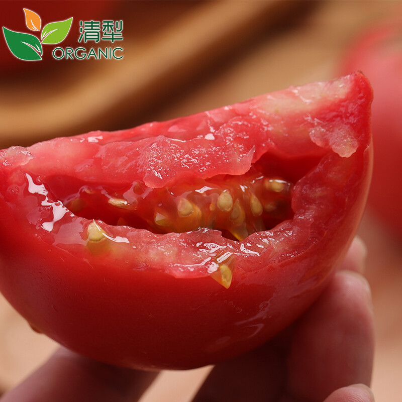 清犁 有机西红柿大番茄3斤装 有机认证 新鲜蔬菜 产地直发包邮