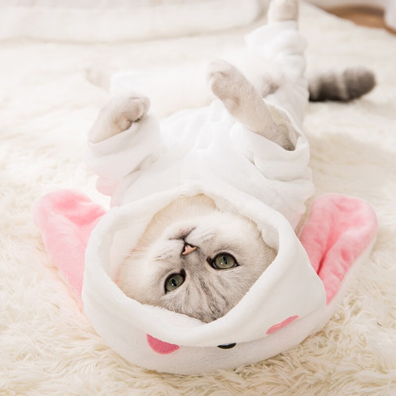 自营时效 唐宠宠物猫咪衣服无毛猫英短秋冬装狗狗衣服小型犬泰迪柯基雪纳瑞柴犬法斗四脚衣白色小兔子 四脚