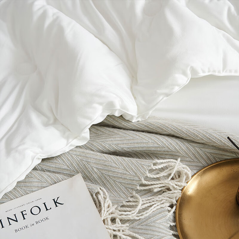 艾逸瑶选 奥里斯针织棉亲肤冬被JF-24140