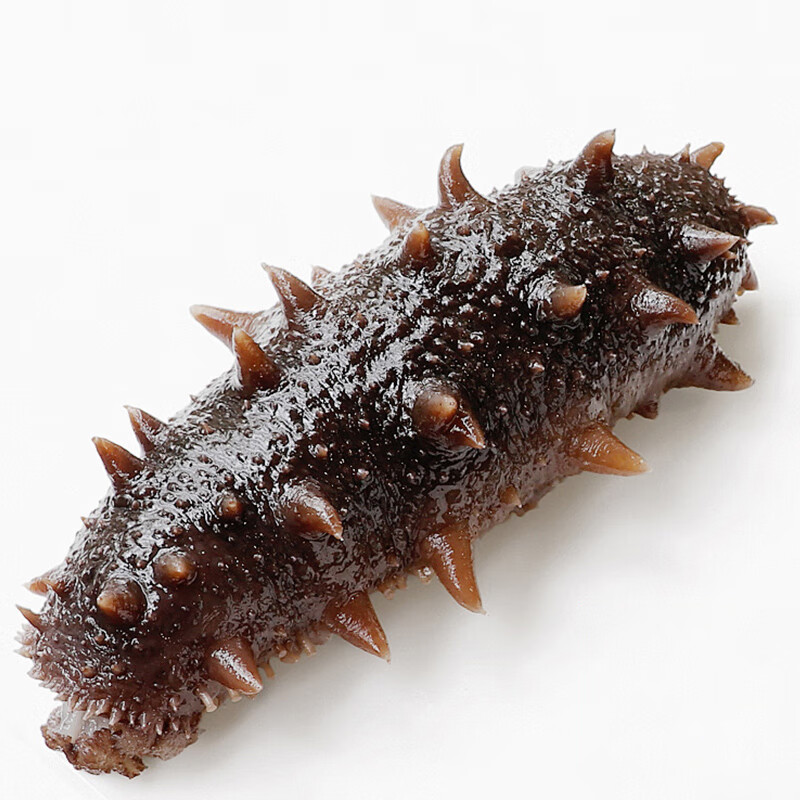 塞翁福 大连即食海参7只装 固形物75%以上 即食辽刺参 即食海参218g