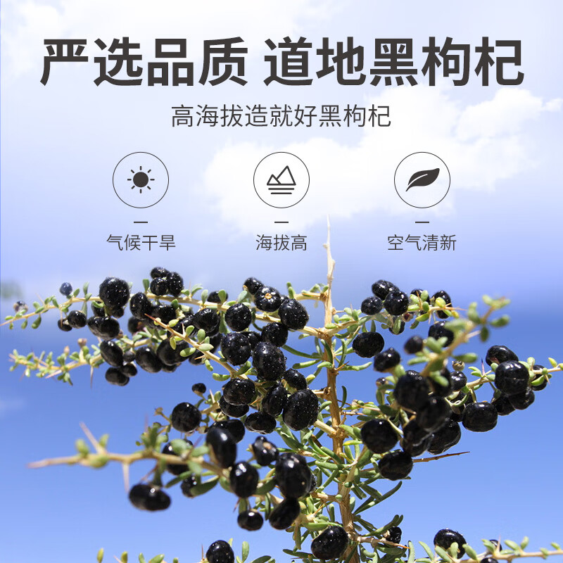 方家铺子中华老字号 五星黑枸杞30g 枸杞子泡茶冲饮特产干果干货