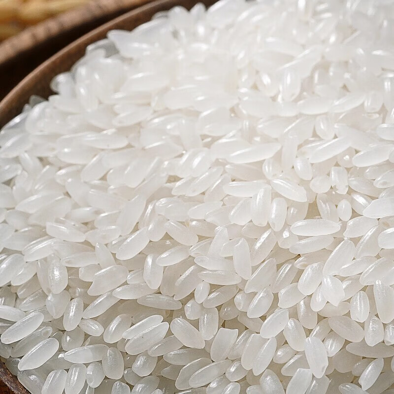 邻家饭香 五常大米 原粮稻花香2号 五优稻4号 龙凤山核心产区 五常大米500g 1袋装