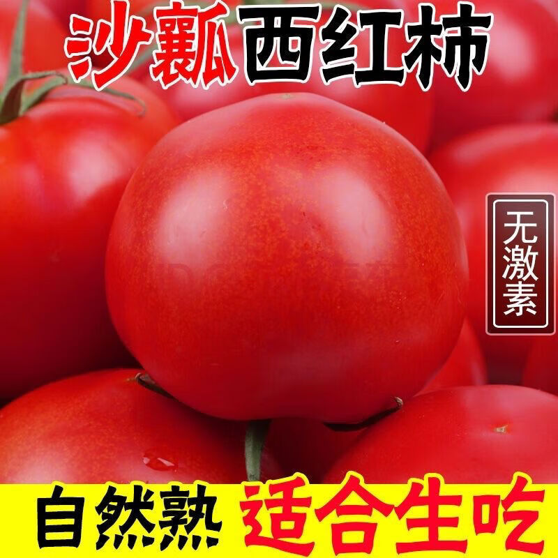 自家种植西红柿自然成熟农产品水果柿子生吃沙瓤柿子现摘现发