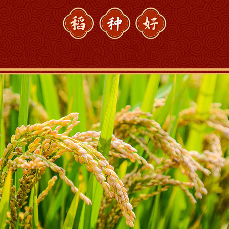 艾逸瑶选 五常福稻2KG