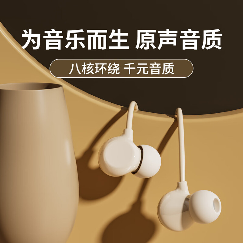 铂典（POLVCDG）有线耳机入耳式降噪type-c耳机高音质k歌音乐游戏耳机线控带麦手机电脑电竞耳塞