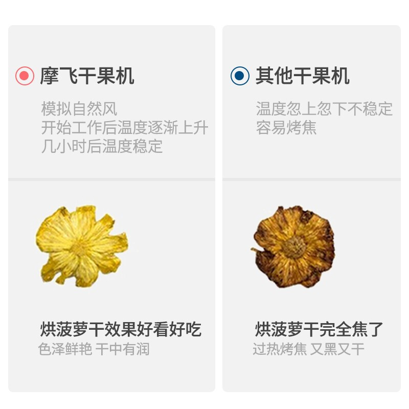 摩飞电器（Morphyrichards） 干果机家用果干机小型水果风干机宠物零食机食物食品水果烘干机 自制水果干肉干-MR6255轻奢蓝