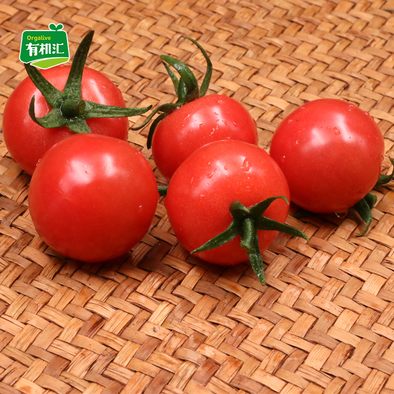 有机汇 有机小西红柿1500g 番茄小番茄 新鲜蔬菜有机蔬菜 现摘有机认证蔬菜 沙拉