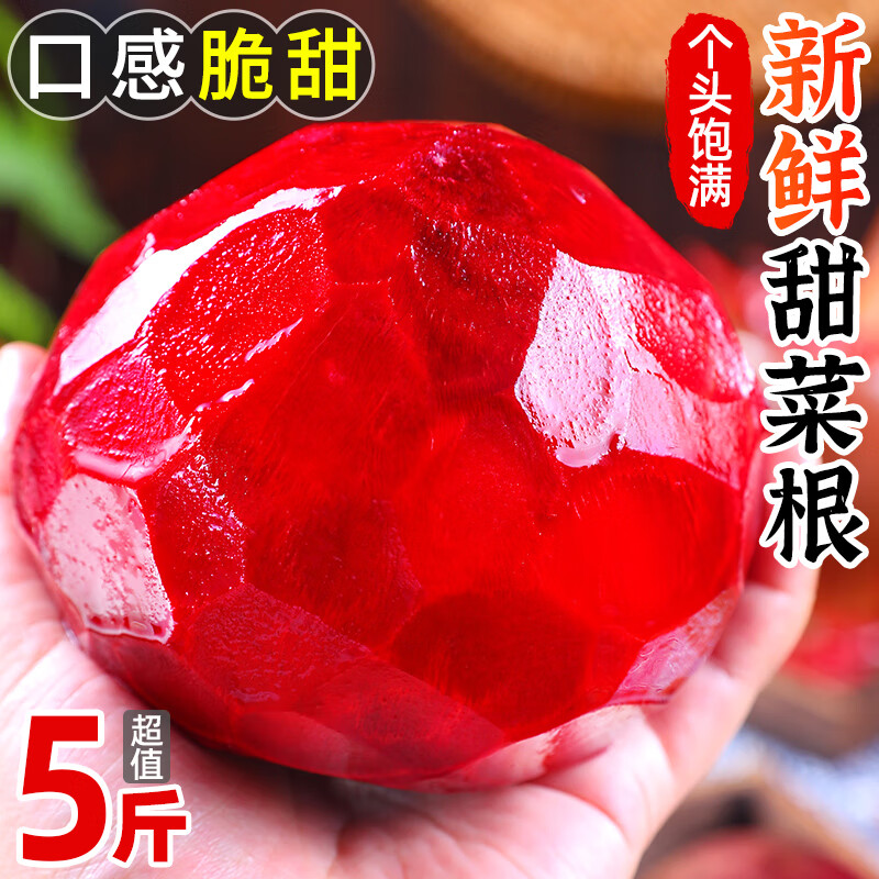 甜菜根新鲜现挖甜菜头紫菜头红甜菜农产品蔬菜红菜头萝卜