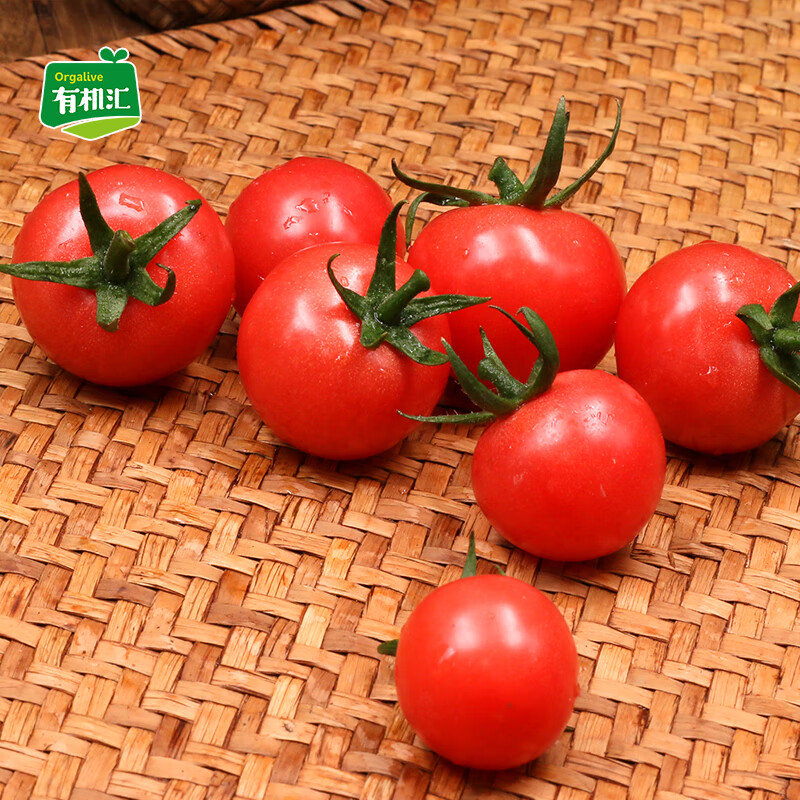 有机汇 有机小西红柿1500g 番茄小番茄 新鲜蔬菜有机蔬菜 现摘有机认证蔬菜 沙拉