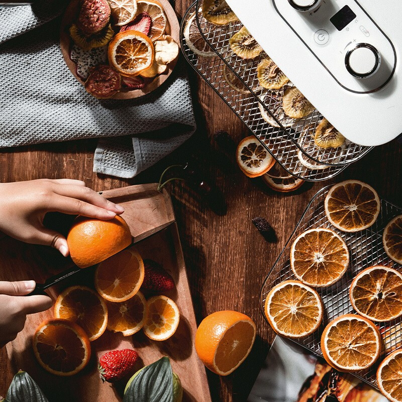 摩飞电器（Morphyrichards） 干果机家用果干机小型水果风干机宠物零食机食物食品水果烘干机 自制水果干肉干-MR6255轻奢蓝