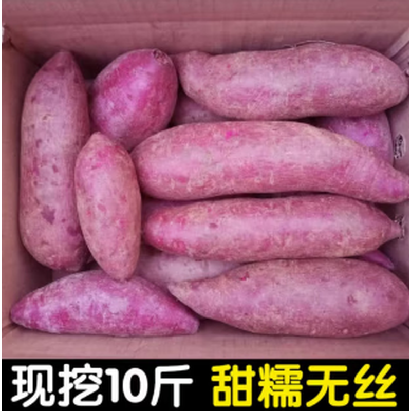 柏馋【软糯香甜】沙地紫薯 10斤新鲜紫罗兰 紫薯 蜜薯 烤地瓜蔬菜批发
