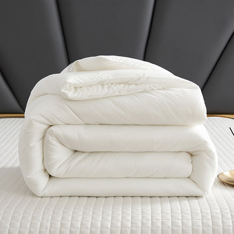 艾逸瑶选 奥里斯针织棉亲肤冬被JF-24140