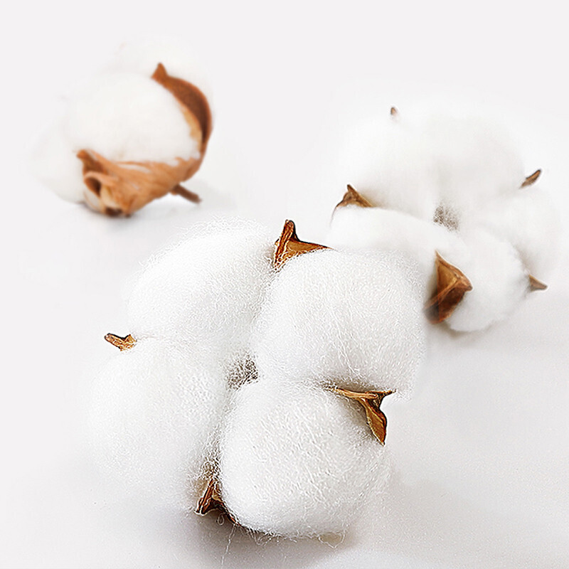 富安娜家纺纯棉床单全棉床品抗菌被单单件1米2/1米5床适用(180*240cm)