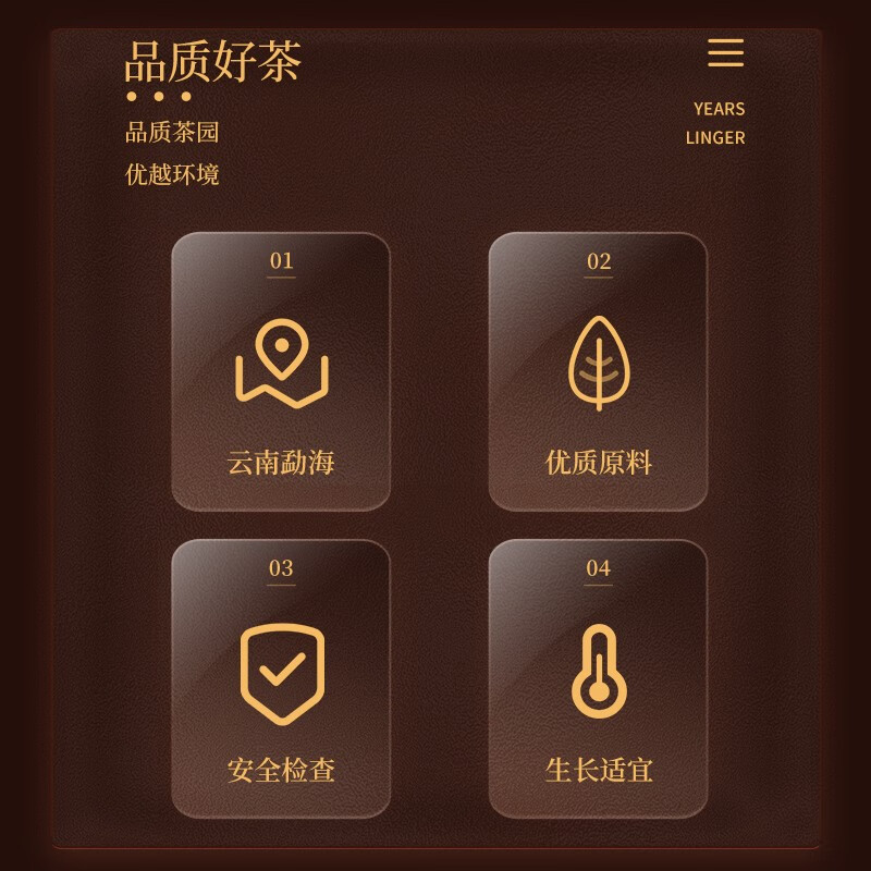 岁月留香 溪谷留香博茗雅韵勐海高山熟普洱饼自饮陈香醇厚357g简易装