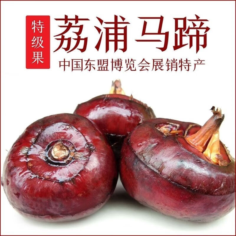 广西马蹄  荔浦荸荠 现挖现发 地梨地栗 时令新鲜 精选特大5斤9斤