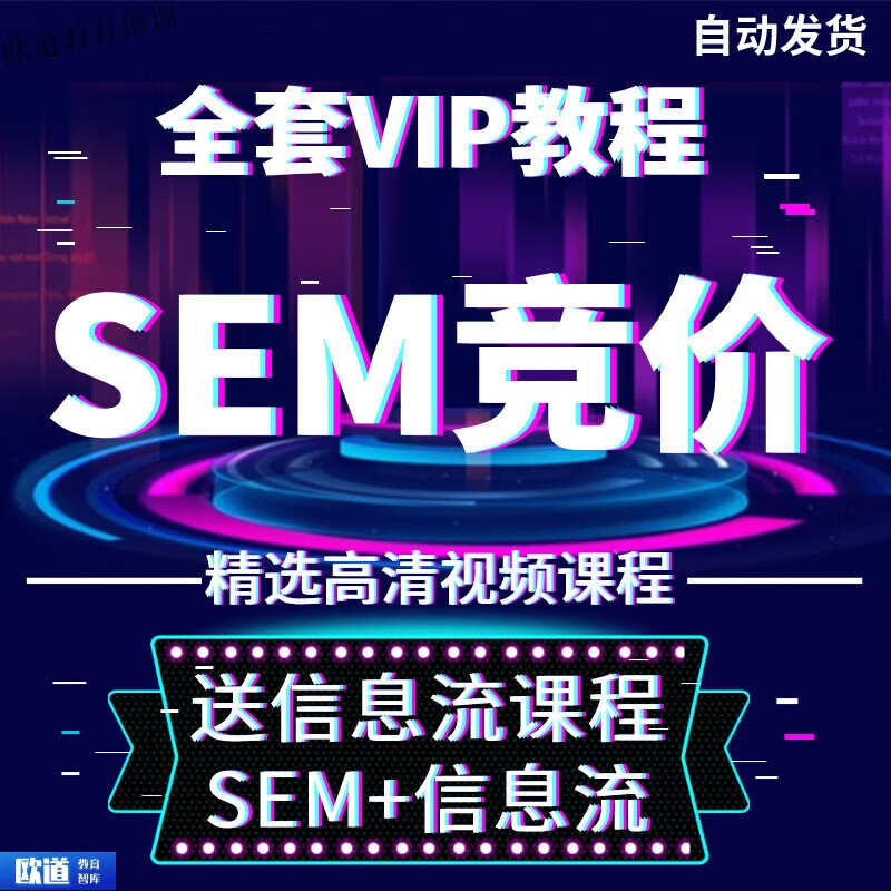SEM竞价排名视频教程网络营销推广网站搜索排名广告投放教学课程