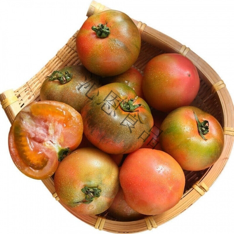 丹东铁皮柿子草莓西红柿碱地柿子绿腚柿子生吃番茄脆柿子水果番茄