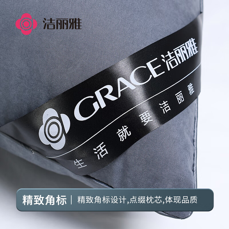 洁丽雅（Grace）枕头枕芯A类酒店星级加厚锦丝绸羽丝绒枕舒睡枕 单只装
