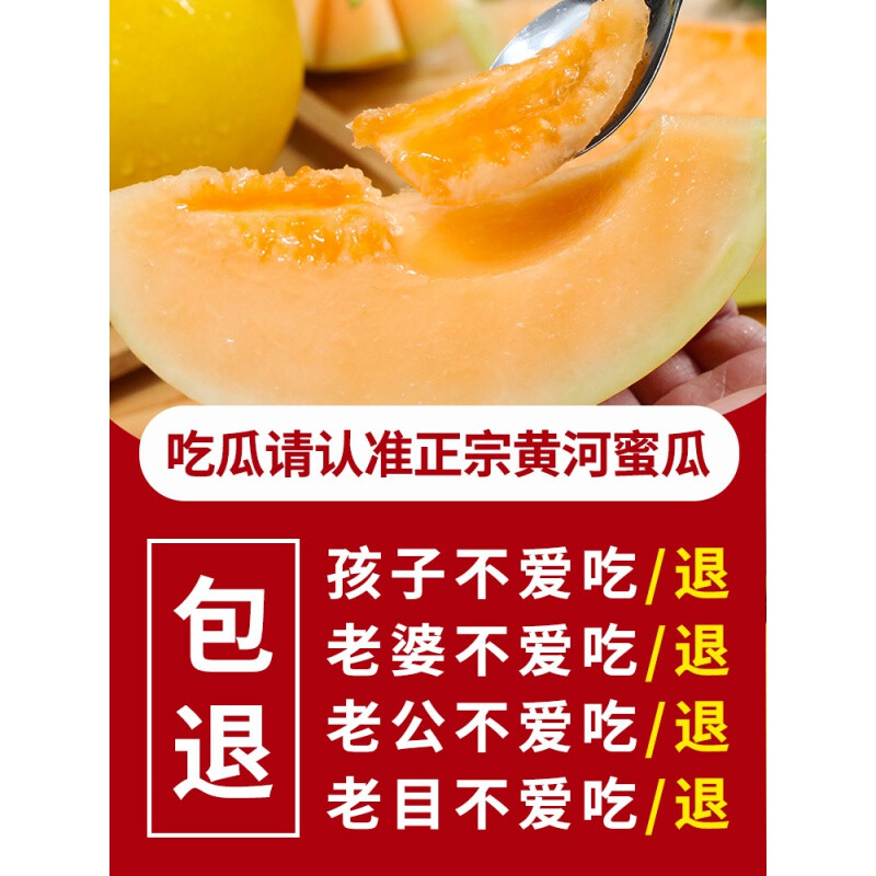 现摘陕西黄河蜜瓜新鲜瓜果当季水果9斤整箱黄金蜜瓜 8.5-9斤