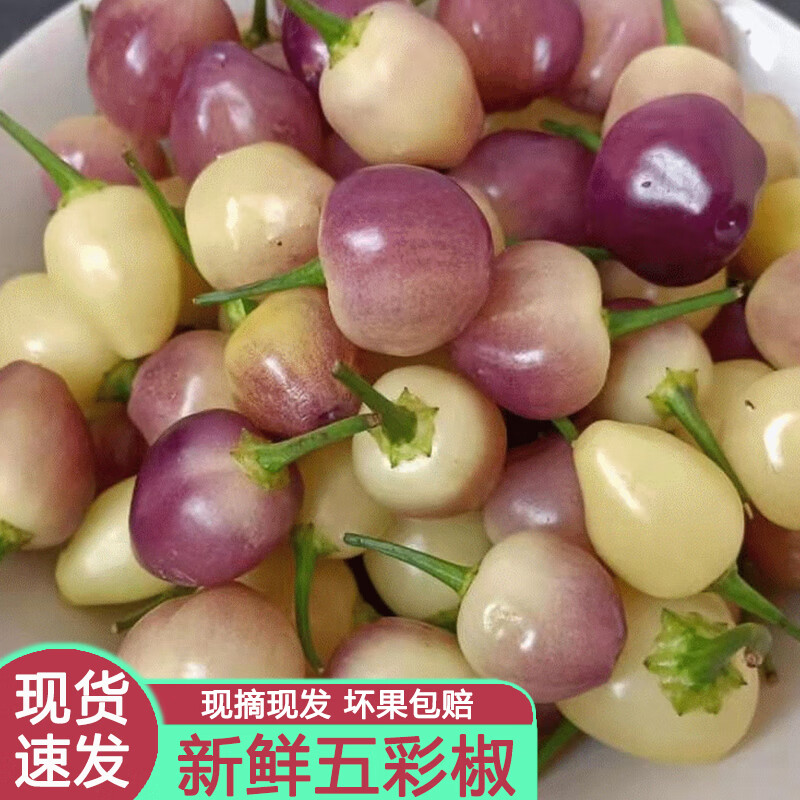 半亩庄园广西七彩椒新鲜五彩椒蔬菜 辣椒 五色椒现摘现发五色椒农产品泡椒