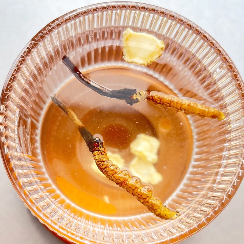 塞翁福 西藏冬虫夏草礼盒装 新干虫草精选礼盒装 虫体饱满 洁净度高 礼盒装20g