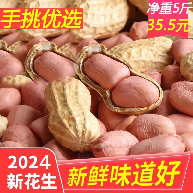 2024带壳生花生晒干原味干花生农家种植新花生白沙果