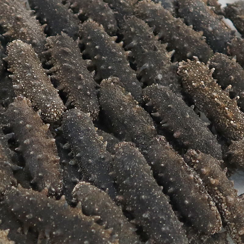 塞翁福 大连底播海参干货辽刺参海鲜水产礼盒 AAAA干海参225g