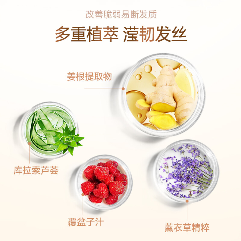 滋源生姜强根健发护发素无硅油修护受损强韧柔顺男女士中干性535ml