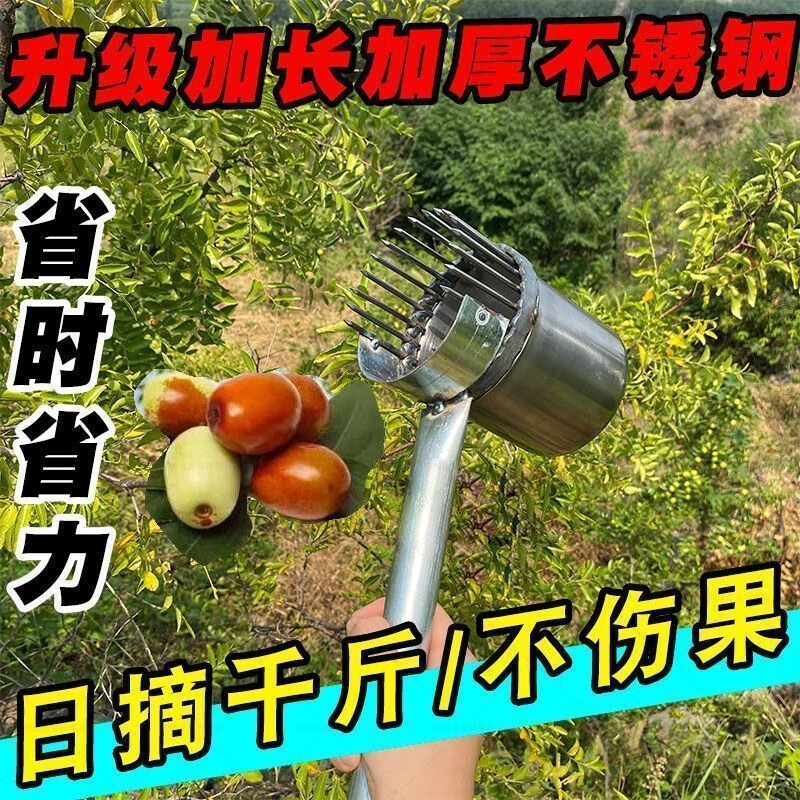 摘酸枣的神器加厚2024酸枣不锈钢摘果器采果山枣柏树小枣工具扎手 摘枣神器专用摘酸枣器摘采摘山枣新款工具