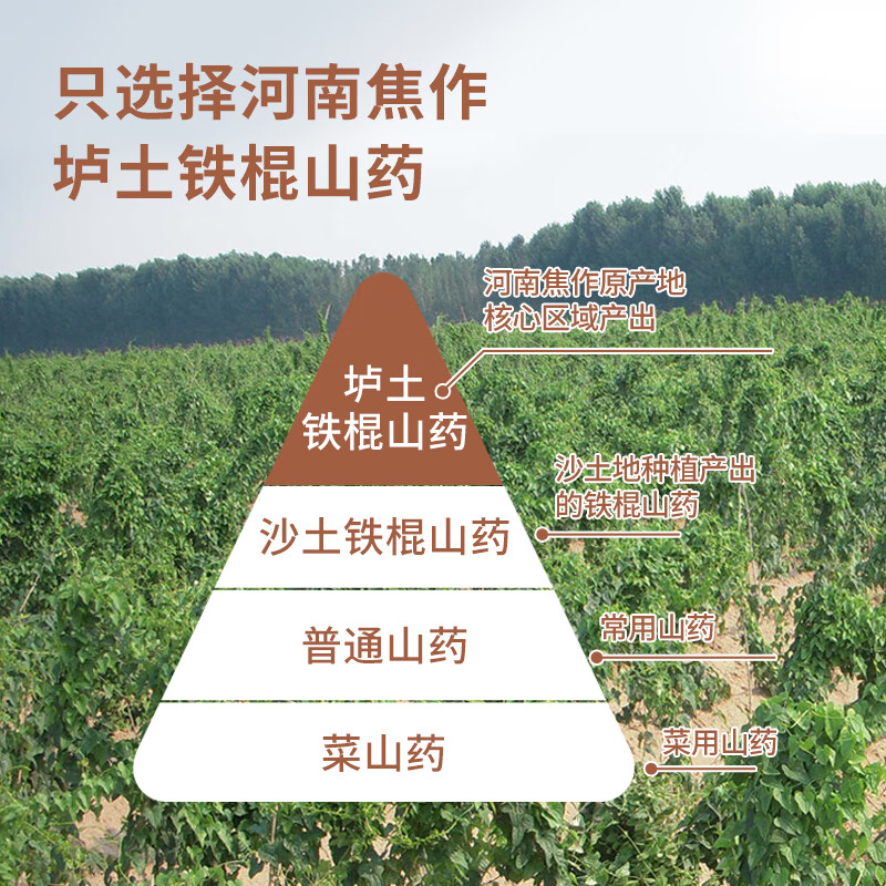 怀生堂怀生堂 山药粉垆土铁棍山药传统麸炒即冲即饮早餐代餐冲调 垆土怀山粉【家庭装50条】600g