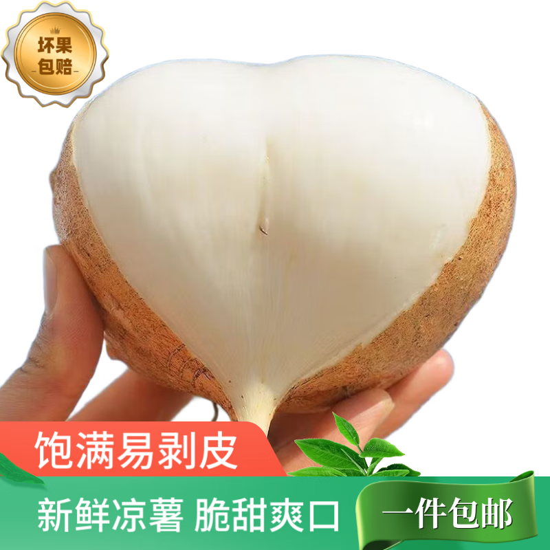 新鲜现挖凉薯沙葛土地瓜豆薯农家红薯白地瓜番薯当季蔬菜水果