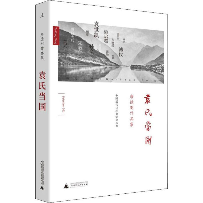 袁氏当国